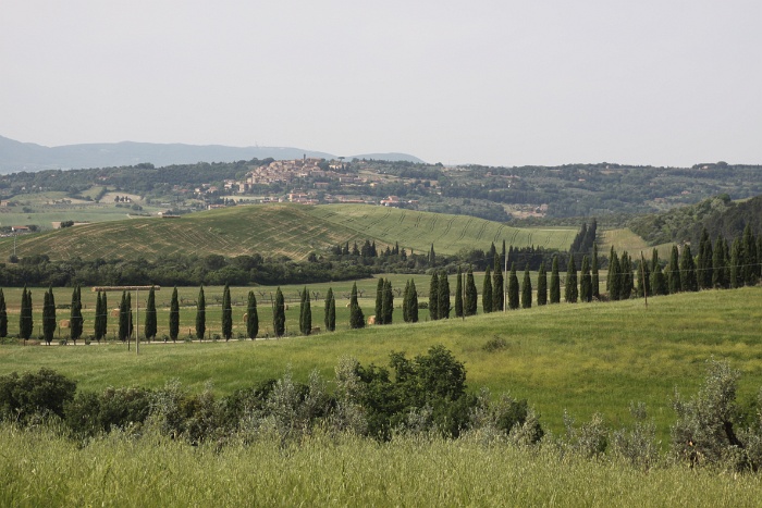 Toscane 09 - 096 - Paysages